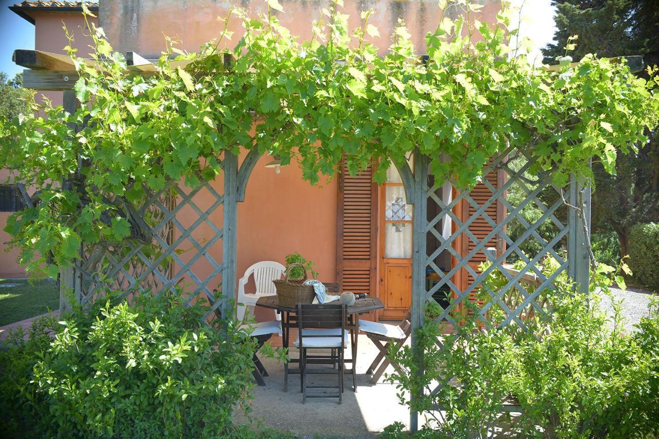 Agriturismo Le Cerbonche 로시냐노 마리티모 외부 사진