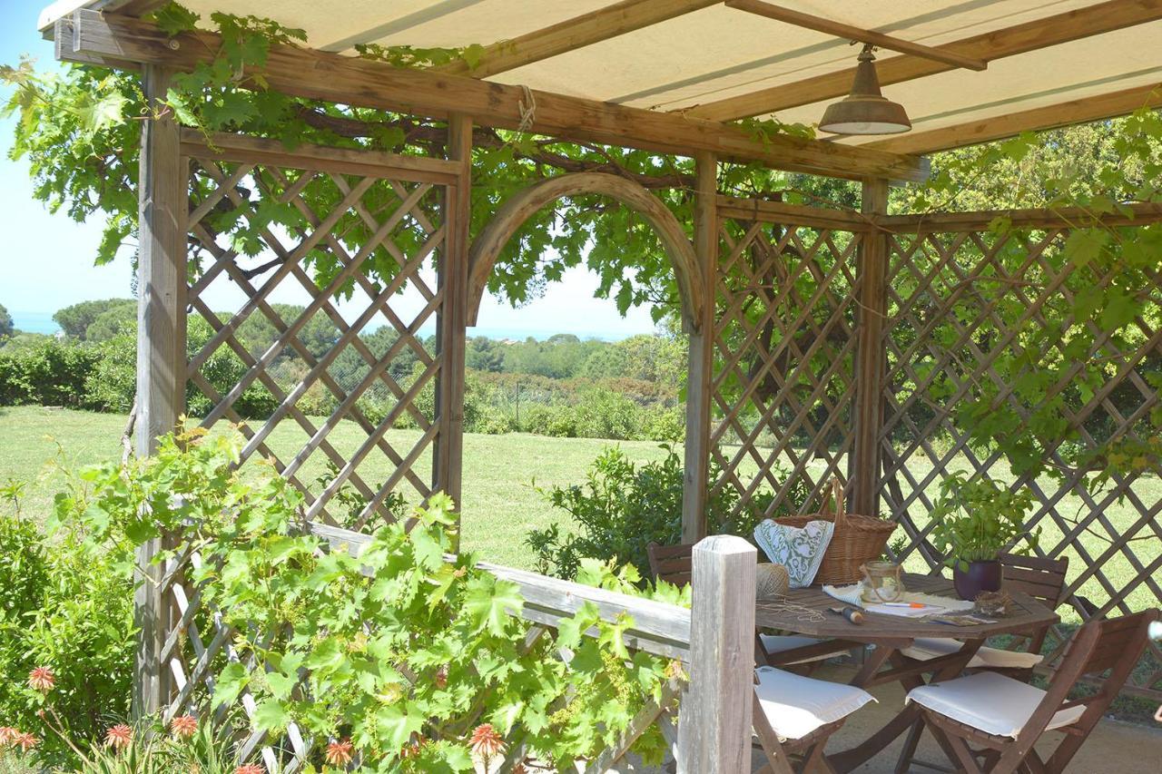 Agriturismo Le Cerbonche 로시냐노 마리티모 외부 사진