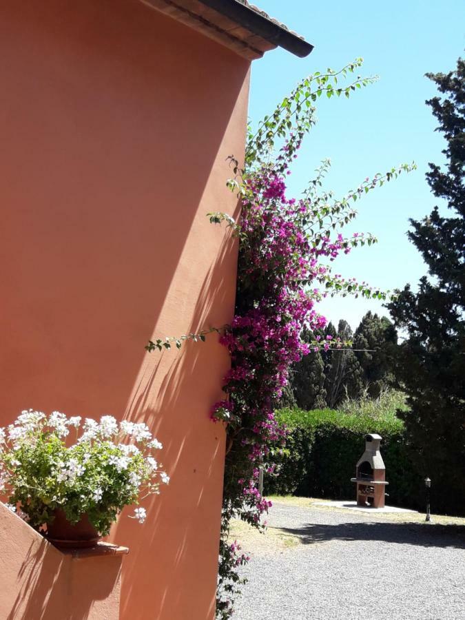 Agriturismo Le Cerbonche 로시냐노 마리티모 외부 사진
