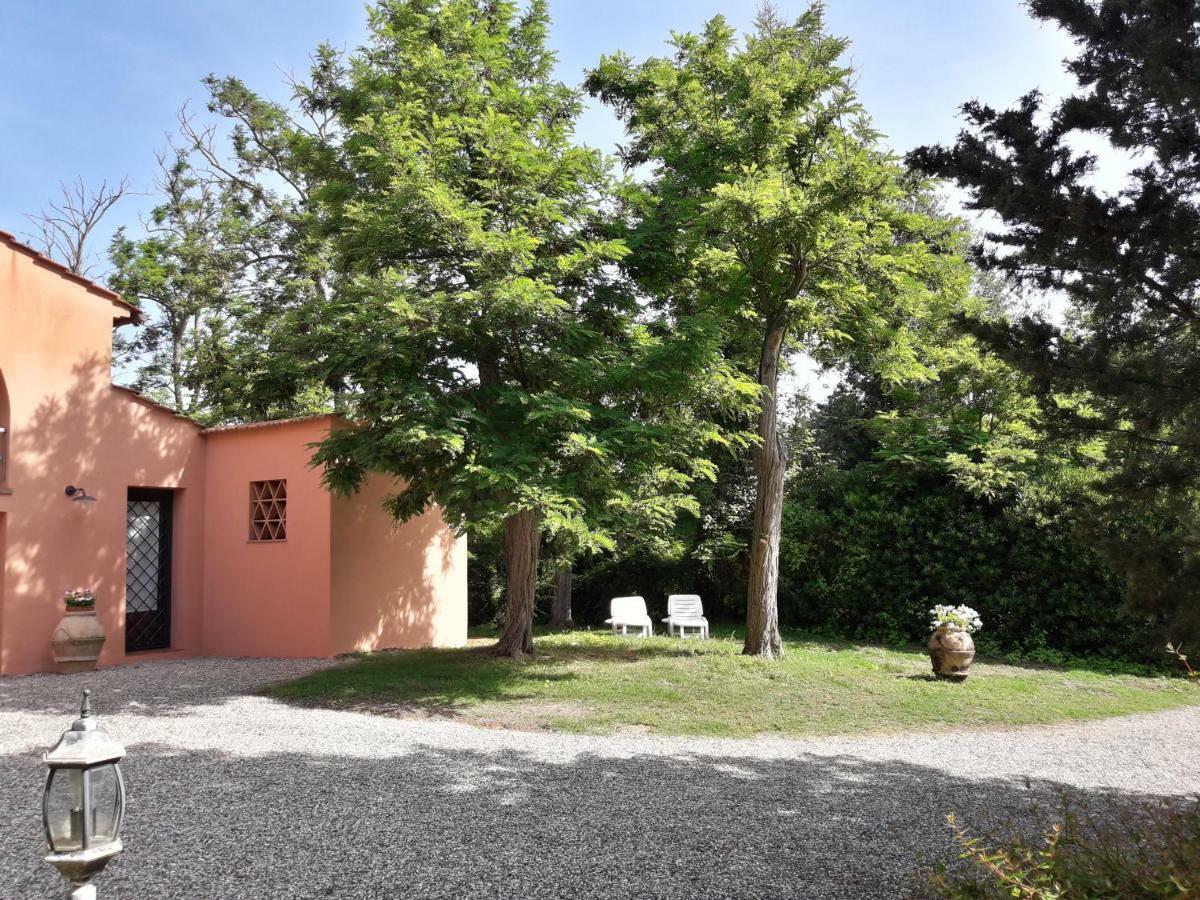 Agriturismo Le Cerbonche 로시냐노 마리티모 외부 사진
