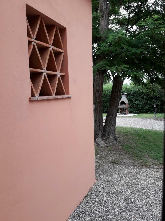 Agriturismo Le Cerbonche 로시냐노 마리티모 외부 사진